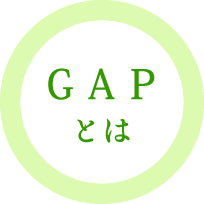 K-GAPとは?