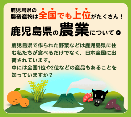 鹿児島の農業について
    鹿児島県で作られた野菜などは鹿児島県に住む私たちが食べるだけでなく、日本全国に出荷されています。
    中には全国1位や2位などの産品もあることを知っていますか？