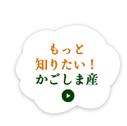 もっと知りたい！かごしま産