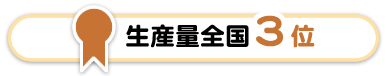 生産量全国3位