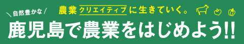 自然豊かな鹿児島で農業をはじめよう！農業（クリエイティブ）に生きていく。