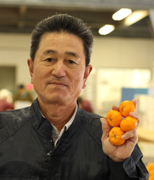 桜島小みかん生産者