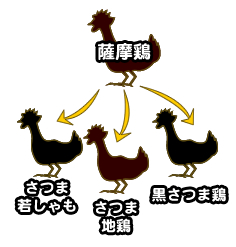 みんな大好きな「鹿児島の地鶏」について