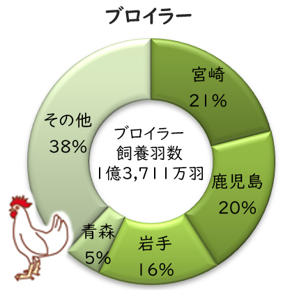 ブロイラー