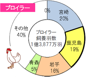 ブロイラー