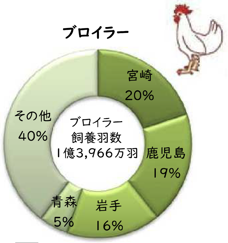 ブロイラー
