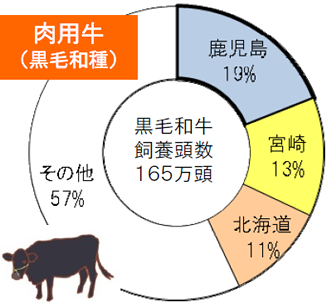 肉用牛(黒毛和種)