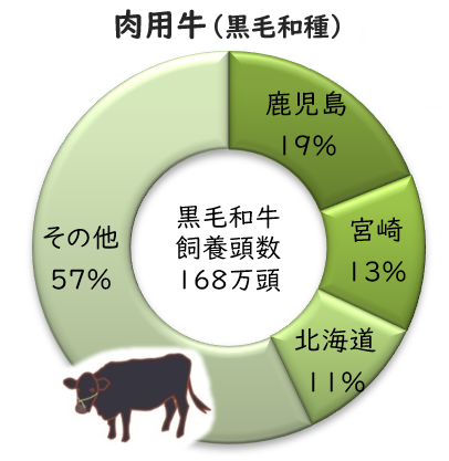 肉用牛(黒毛和種)