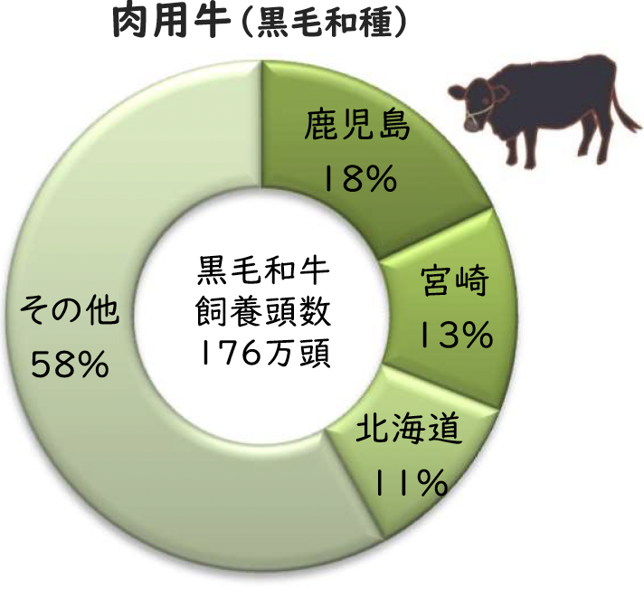 肉用牛(黒毛和種)