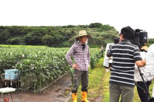 IPM実践ほ場で取材を受ける前川部会長(いぶすき農協指宿地区オクラ部会)