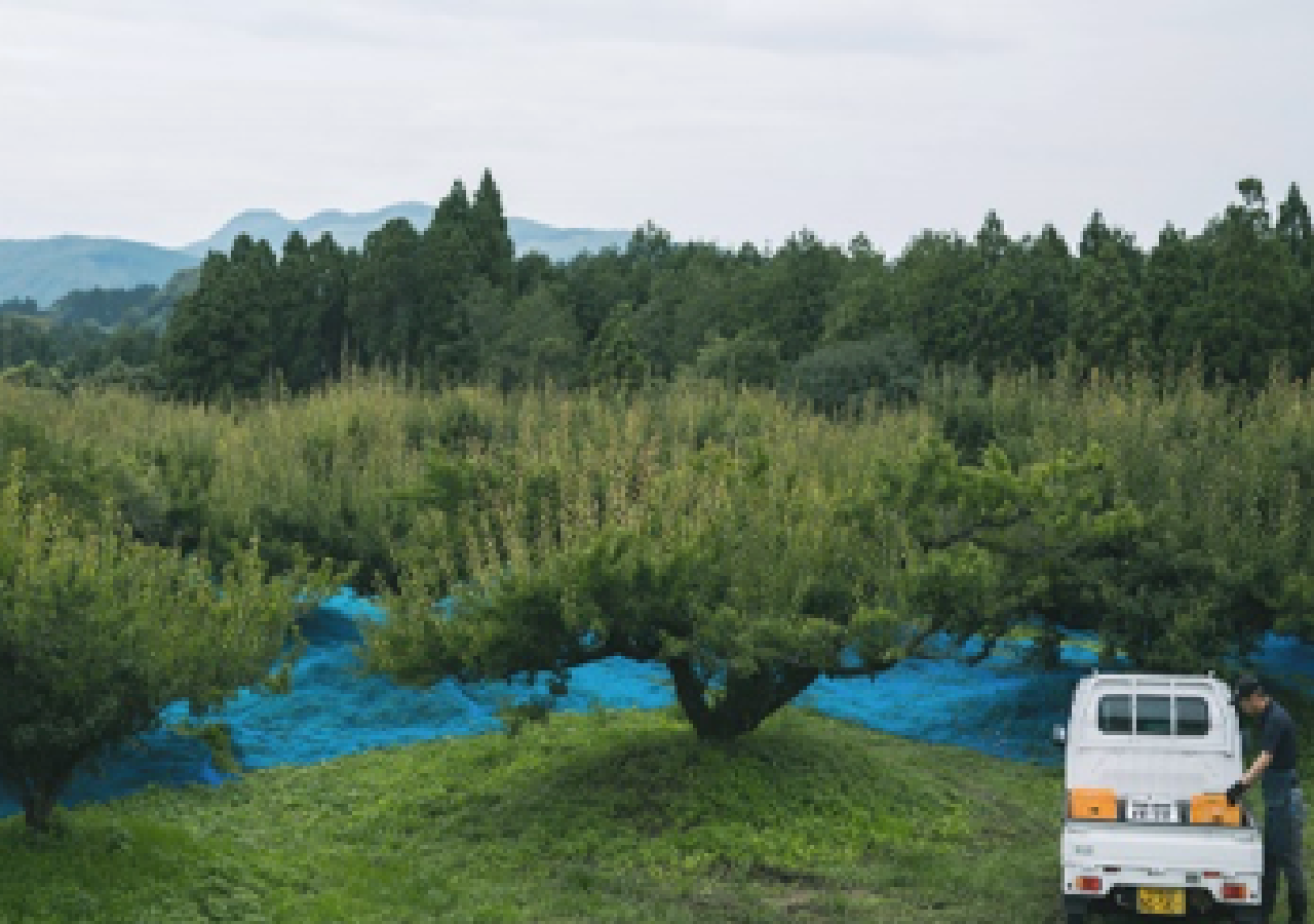 生産現場