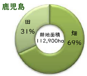 耕地面積
