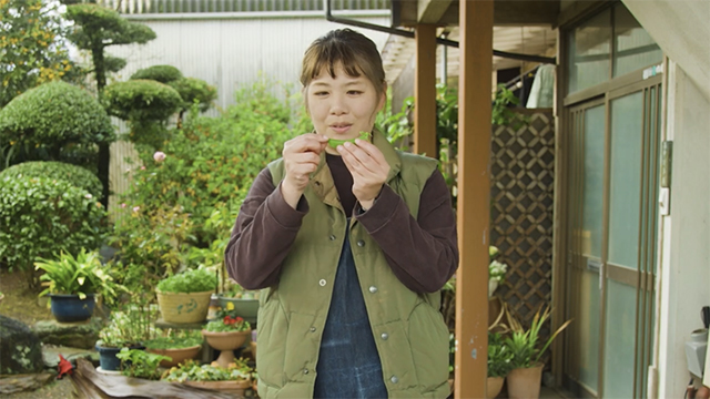 スナップえんどう（短尺版）