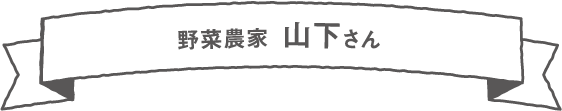 野菜農家 山下さん【西之表市】