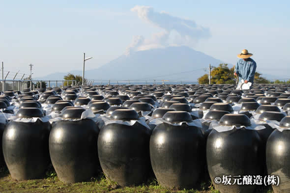 鹿児島の壺造り黒酢