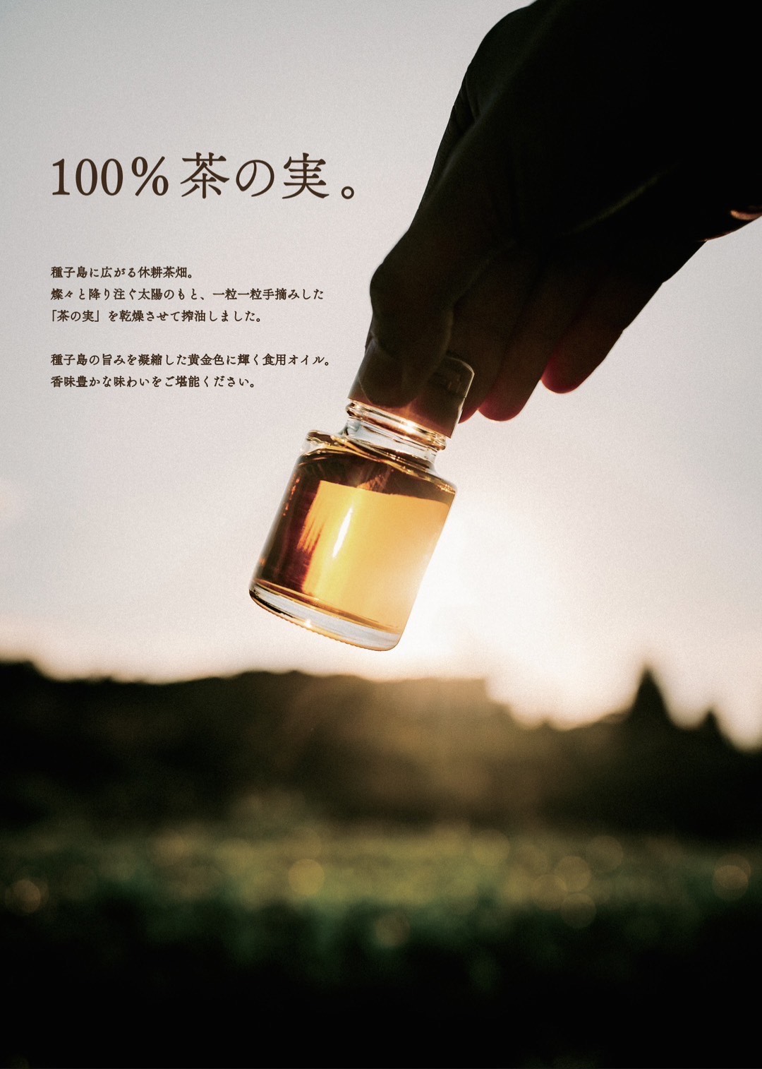 その他の写真