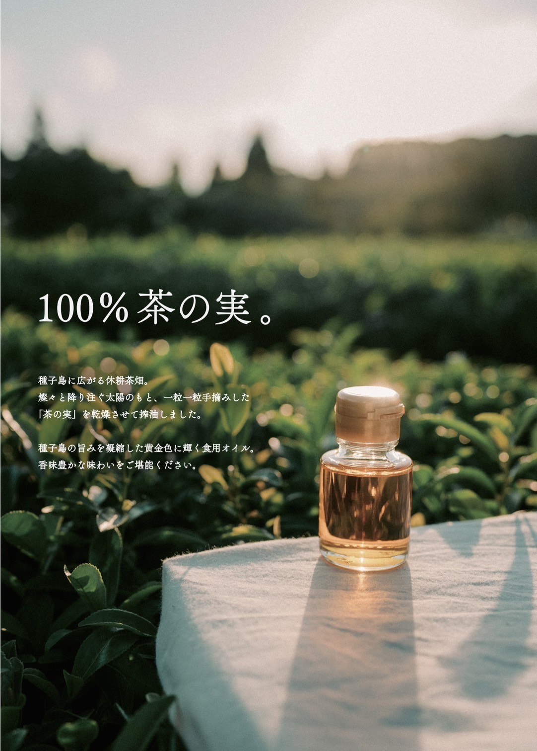 その他の写真
