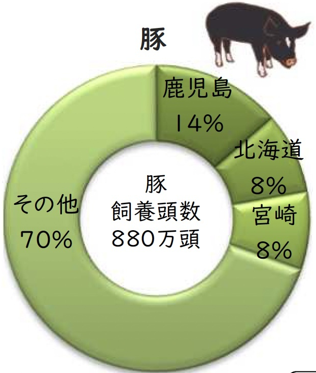 豚