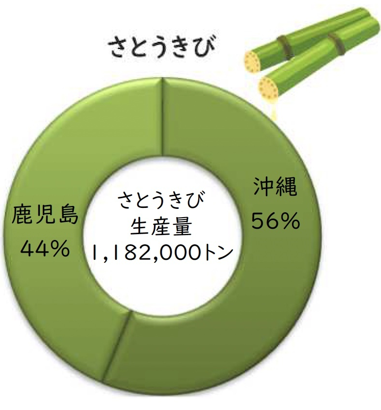 さとうきび