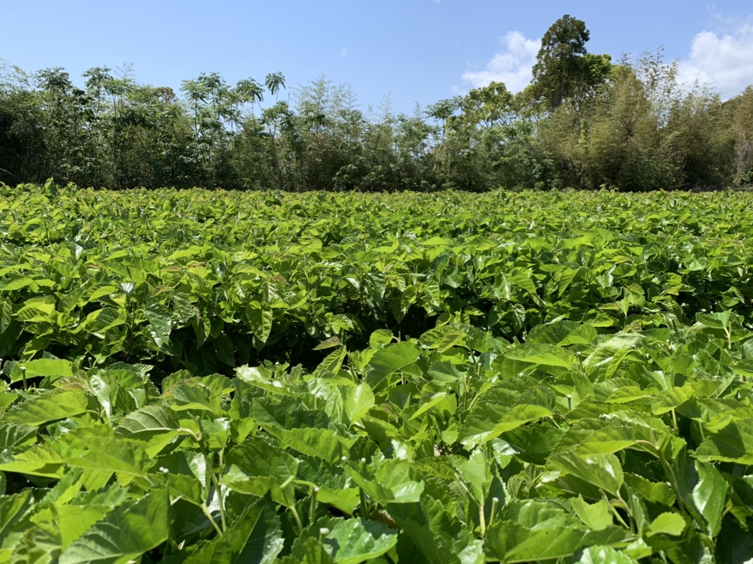 生産現場